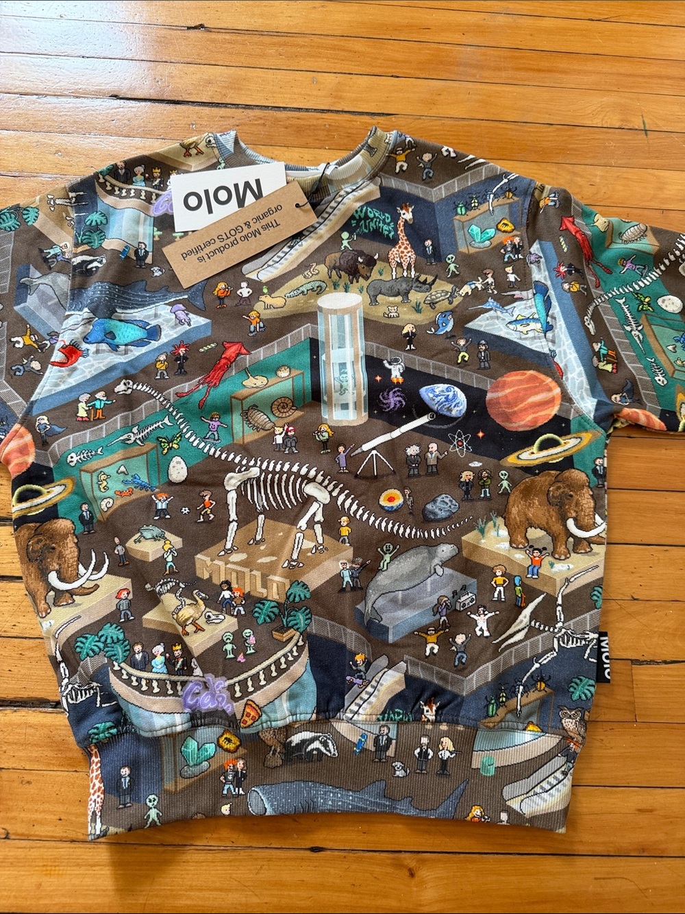 Molo Multicolor Explorer Print Sweatshirt with Brown & Blue Tones